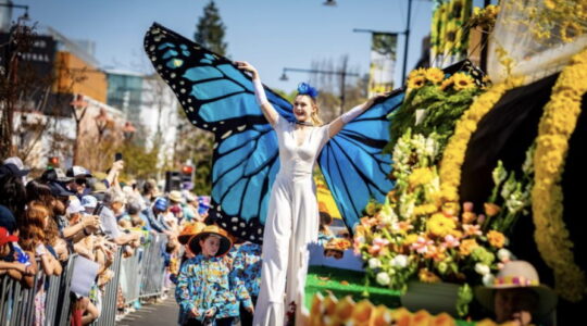 New life for the Toowoomba Carnival of Flowers