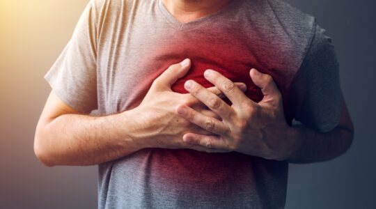 Fat cell key to limiting tissue damage from heart attack