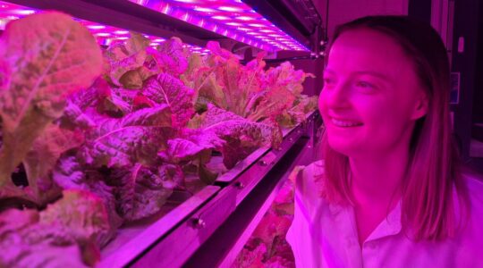 Space meals dish up food options on Earth