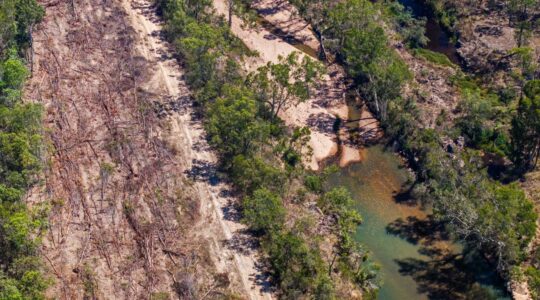 Bushland clearing loopholes threaten Great Barrier Reef
