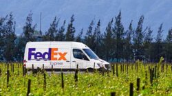FedEx truck. | Newsreel