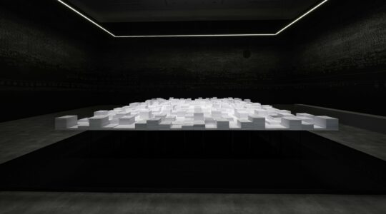Family tree installation spans 65,000 years