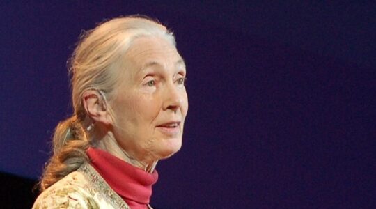 Jane Goodall redefined what it meant to be human