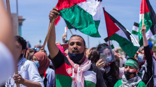 Free Palestine protest.