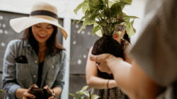 Plantapalooza