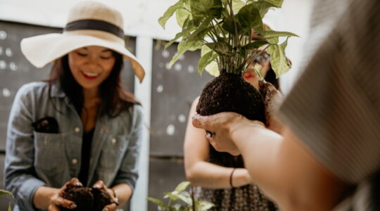 Spring garden glow-up at Plantapalooza