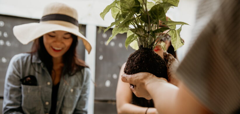 Plantapalooza