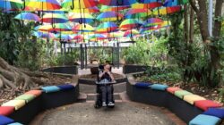 Person on wheelchair under umbrellas. | Newsreel