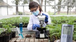 Women with microscope in hothouse.
