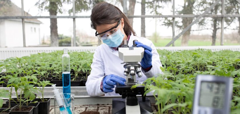 Women with microscope in hothouse.