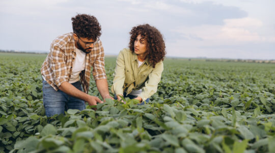 Insurance risks emerge in agribusiness split entities
