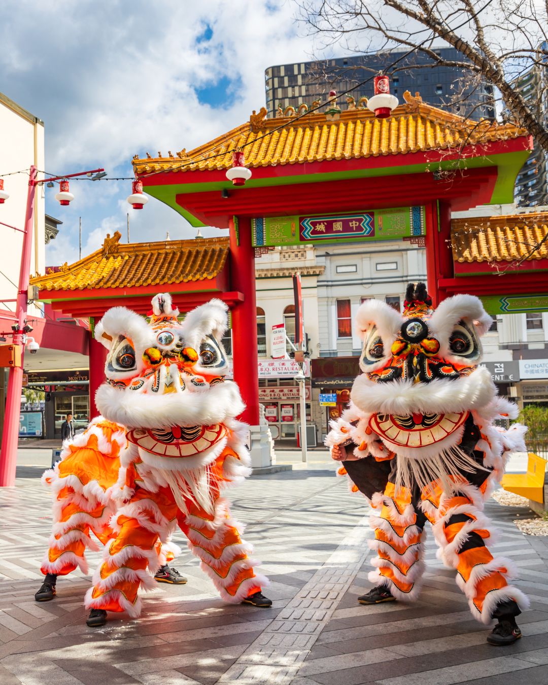 20250129 BrisAsisa Festival - 1