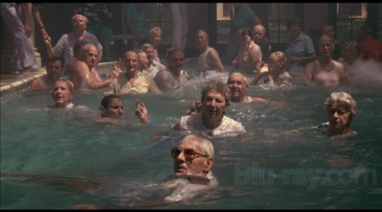 Research opens door for future anti-aging drugs