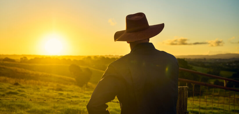 Australian farmer examining wheat in field at sunset