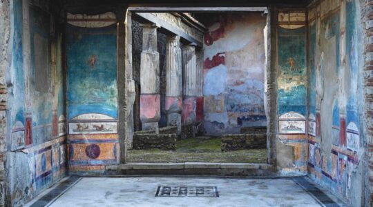 Pompeii photographic exhibition opens at HOTA