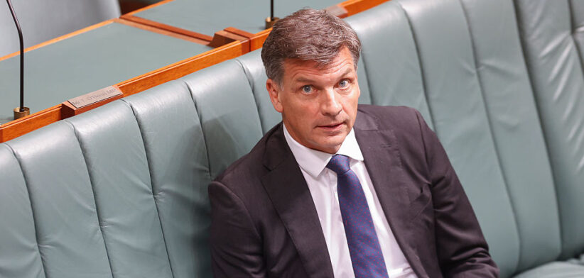 Angus Taylor in Parliament - Newsreel