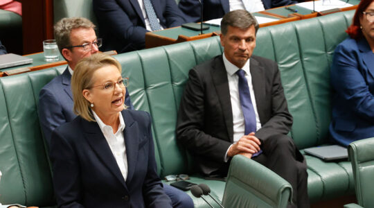 Opposition Leader Sussan Ley in Parliament - Newsreel