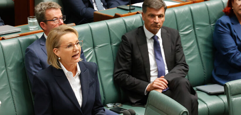 Opposition Leader Sussan Ley in Parliament - Newsreel