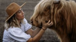 Northview Highlands- Newsreel