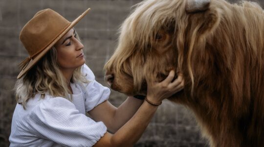 Foodie road trip: Scenic Rim Farm Gate Trail 2026