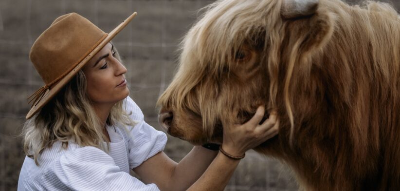 Northview Highlands- Newsreel