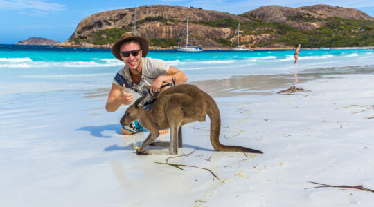 caucasian man with a beautiful Kangaroo at Lucky Bay Beach in the Cape Le Grand National Park near Esperance, Australia