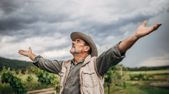 One farmer standing in the field and hoping that it will rain