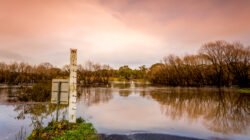 Road cut by flood waters of the Wollondilly River