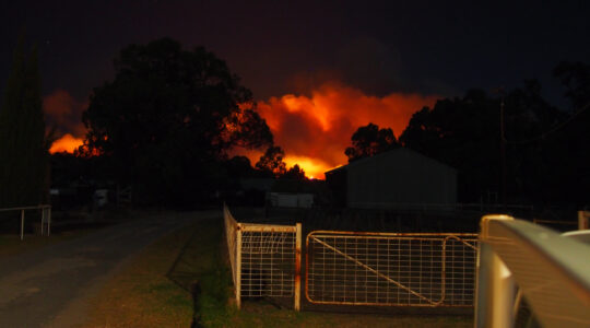 Bush fire glowing red in the dark country side
