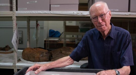 Brisbane dinosaur fossil found to be Australia’s oldest