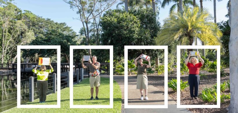 Bundaberg - Newsreel