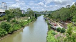 David_Trumpy_Bridge_over_Bremer_River_and_Parklands,_Ipswich,_Queensland_in_2020,_01