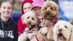 Dog Lovers Festival - Newsreel