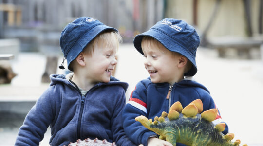 Preschooler_twins_brothers_smiling1