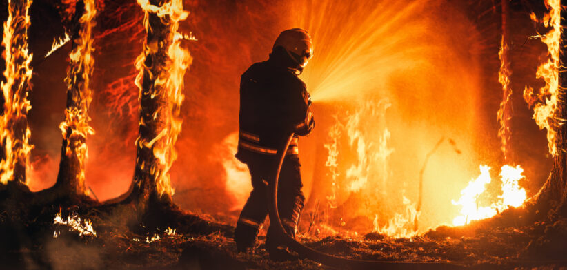 Professional Firefighter Extinguishing Large, High-Priority Part of the Forest Fire. Highly Skilled Hotshot Firemen Working on Challenging Remote Area with Flames Reaching the Treetops.