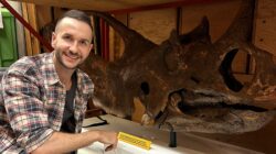 Dr Lomax & ceratopsian dinosaur
