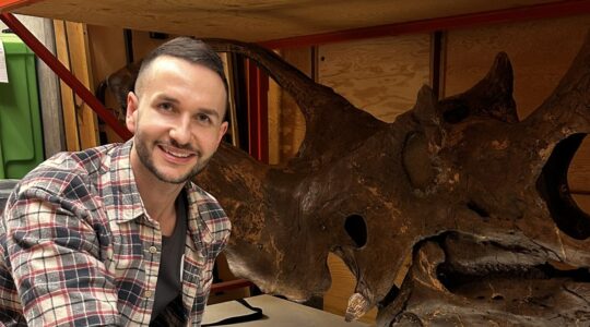 Dr Lomax & ceratopsian dinosaur
