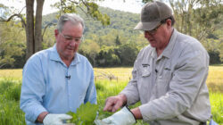 Tropical-Soda-Apple-10