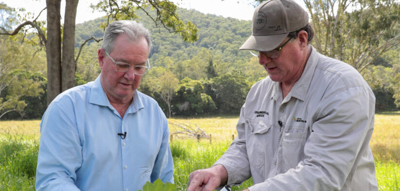 Tropical-Soda-Apple-10