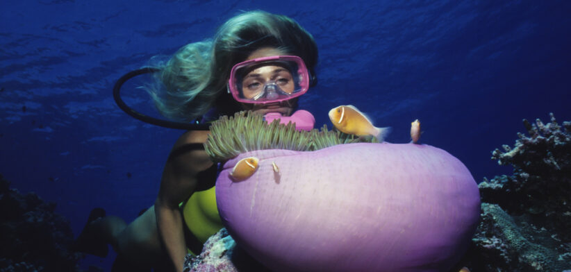 Diver Over Coral Reef With Anemone