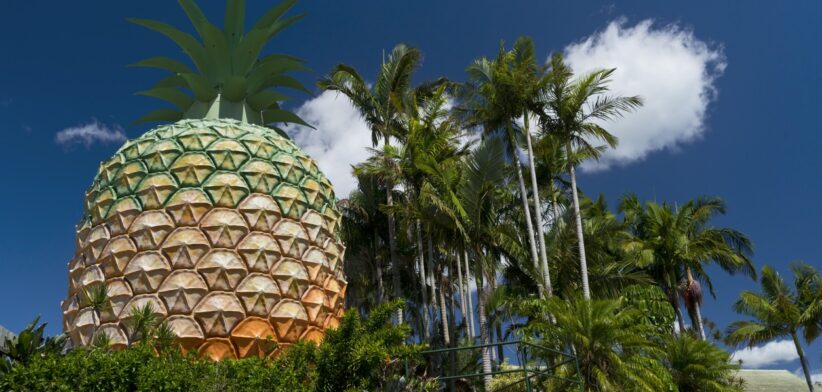 Big Pineapple - Newsreel