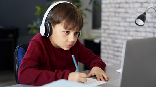 Concentrated boy while studying at home