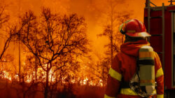 Firefighter extinguishing  wildfire with fire truck