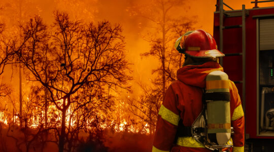 Signs of progress in latest climate change scenarios