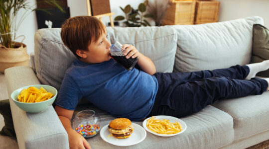 Fast food lover