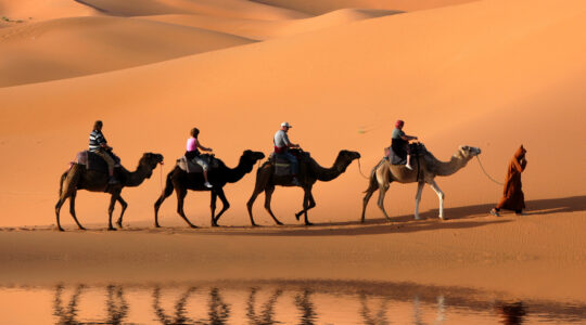 Hundreds of mysterious mass graves found in Sahara