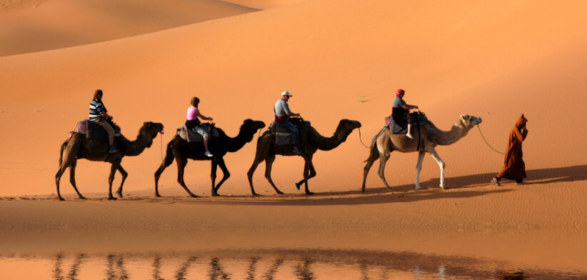 Camel caravan reflected in a Sahara Desert oasis