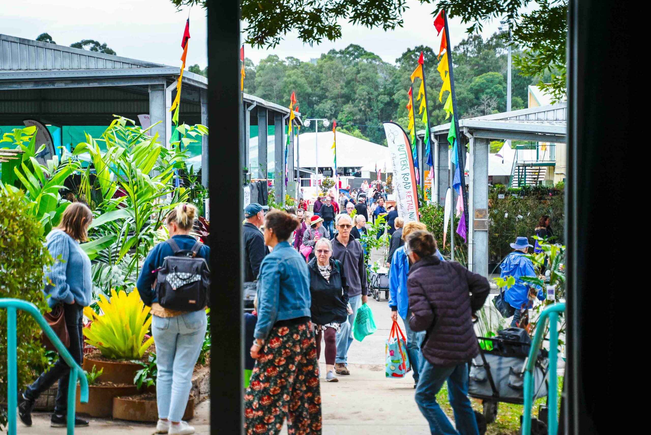 Queensland Garden Show - Newsreel