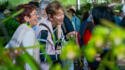 Queensland Garden Show - Newsreel