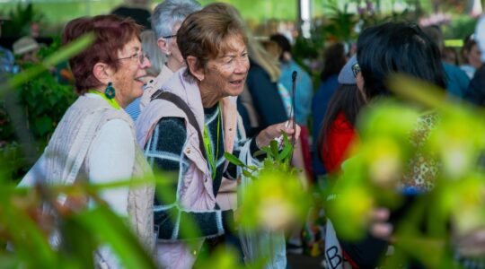Queensland Garden Show - Newsreel